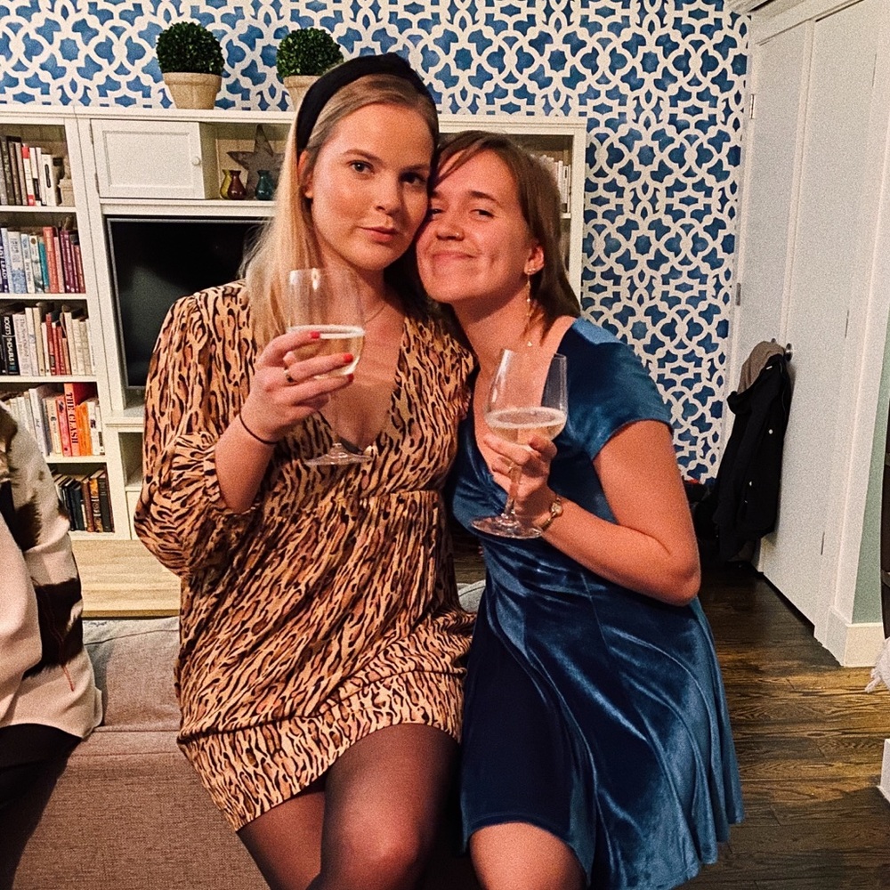 ARITZIA - Cheetah Babydoll Dress